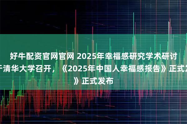 好牛配资官网官网 2025年幸福感研究学术研讨会于清华大学召开，《2025年中国人幸福感报告》正式发布