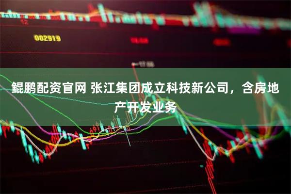 鲲鹏配资官网 张江集团成立科技新公司，含房地产开发业务